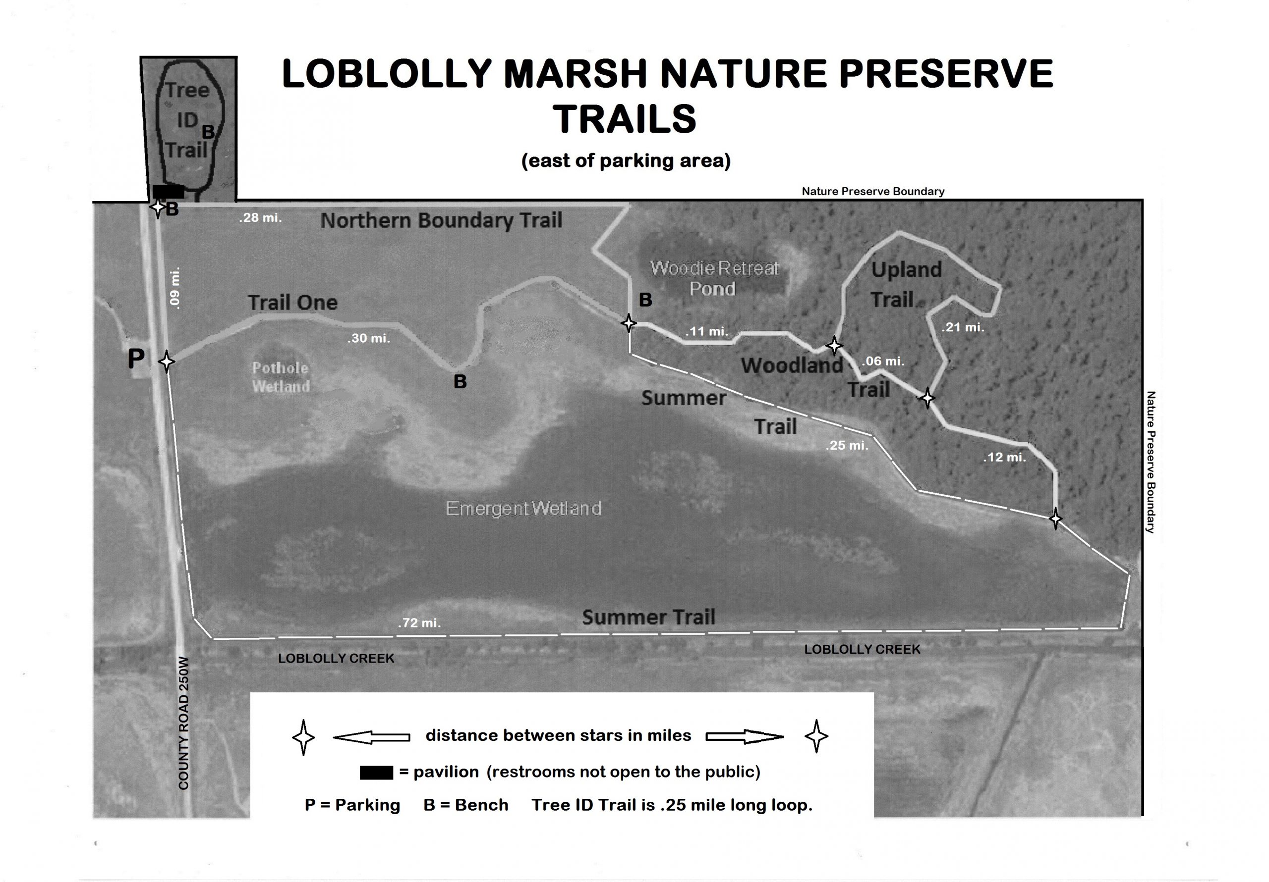 Loblolly Marsh Nature Preserve Trails